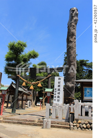 足利・下野国一社八幡宮 42260937