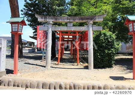 足利・下野国一社八幡宮(門田稲付神社) 足利・下野国一社八幡宮(門田稲付神社) 42260970