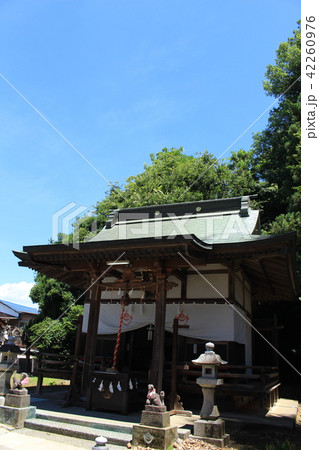 足利・下野国一社八幡宮（門田稲付神社） 42260976