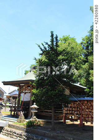 足利・下野国一社八幡宮(門田稲付神社) 足利・下野国一社八幡宮(門田稲付神社) 42260980