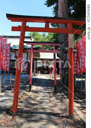 足利・下野国一社八幡宮(門田稲付神社) 足利・下野国一社八幡宮(門田稲付神社) 42260986