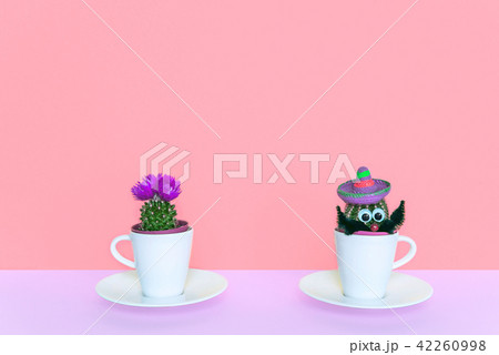 Small cactus in a flowerpot on a trendy background. Small cactus in a flowerpot on a trendy background. 42260998