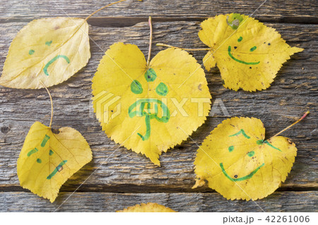 Yellow autumn leaves with smiley patterns Yellow autumn leaves with smiley patterns 42261006