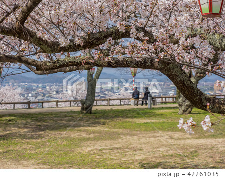春は桜、秋は紅葉の名所として有名な鳥取城跡 42261035