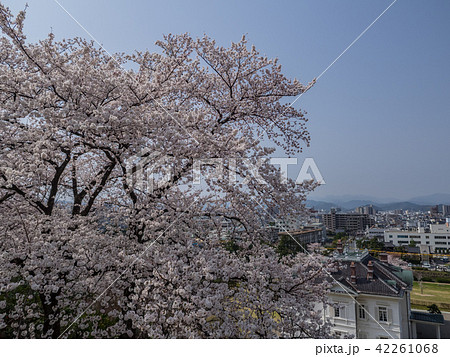春は桜、秋は紅葉の名所として有名な鳥取城跡 春は桜、秋は紅葉の名所として有名な鳥取城跡 42261068