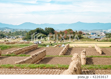 秋の農村風景 42263617