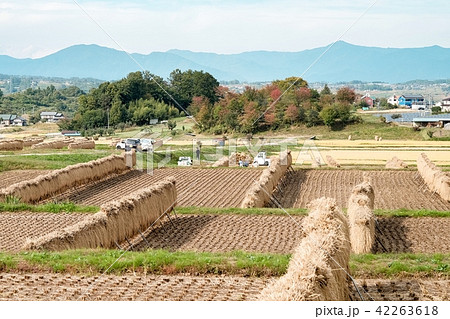 秋の農村風景 42263618