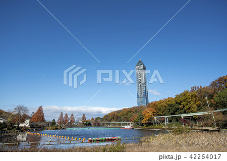 晩秋の東山スカイタワー 晩秋の東山スカイタワー 42264017