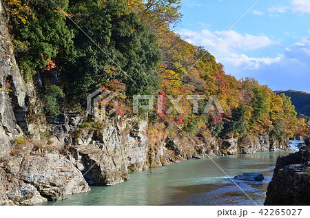 紅葉の長瀞 紅葉の長瀞 42265027