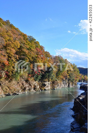 紅葉の長瀞 紅葉の長瀞 42265033