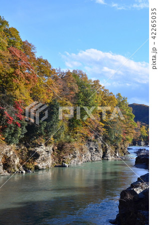 紅葉の長瀞 紅葉の長瀞 42265035