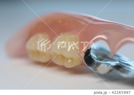 入れ歯 42265997