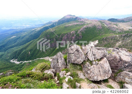 ミヤマキリシマ咲く九重連山 久住山の写真素材