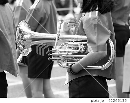 小学校のマーチングバンド 小学校のマーチングバンド 42266136