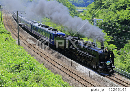 新緑の上越線SL 42266145