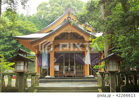 壱岐　住吉神社 （２） 42266613