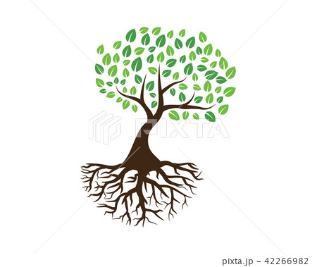 Logos of green Tree leaf ecology nature Logos of green Tree leaf ecology nature 42266982