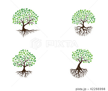 Logos of green Tree leaf ecology nature Logos of green Tree leaf ecology nature 42266998