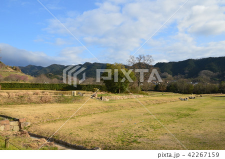 国営飛鳥歴史公園の「石舞台地区」（奈良県高市郡明日香村） 42267159