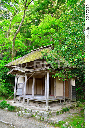 五合庵（新潟県） 42267230