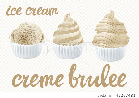 vector beige Set of Ice cream scoops creme brulee  42267431