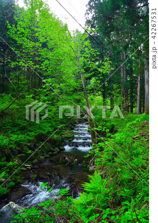慈光寺（新潟県） 42267531