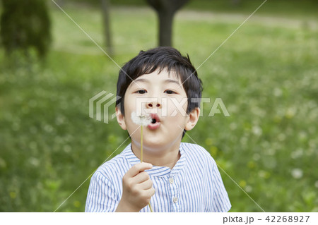人物 子供 男性 42268927