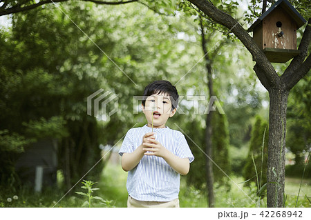 韓国人 子供 森 42268942