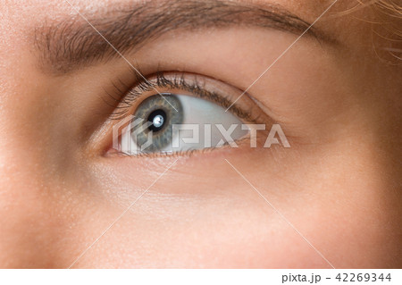 The close up eye on face of young beautiful caucasian girl The close up eye on face of young beautiful caucasian girl 42269344