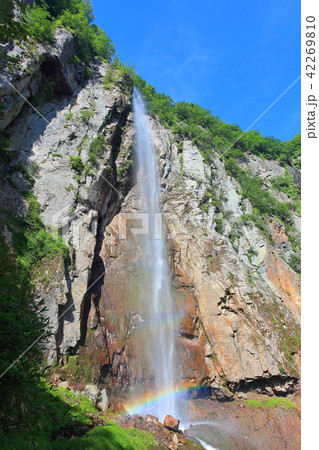 万緑の米子大瀑布（不動滝） 42269810