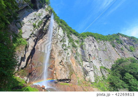 万緑の米子大瀑布（不動滝） 42269813