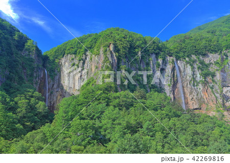 万緑の米子大瀑布 42269816