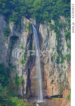 万緑の米子大瀑布（不動滝） 42269833