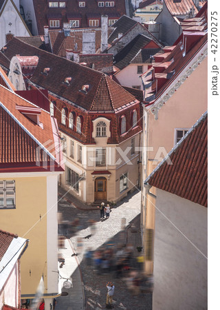 beautiful photos of Tallinn beautiful photos of Tallinn 42270275