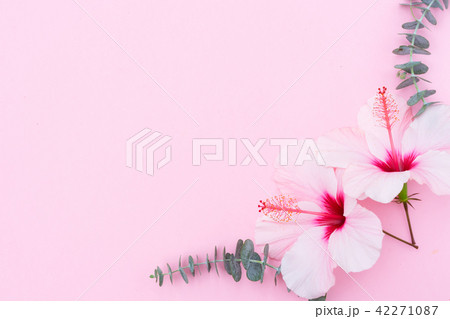 Wellness background with hibiscus flower 42271087