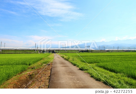 新幹線と田んぼの風景 42272255