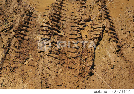 Traces of wheeled vehicles Traces of wheeled vehicles 42273114