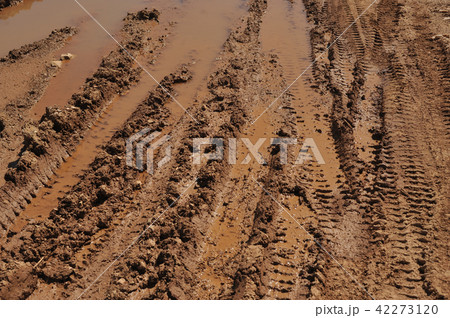 Traces of wheeled vehicles used in agriculture  42273120