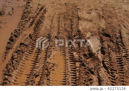 Traces of wheeled vehicles used in agriculture  42273126