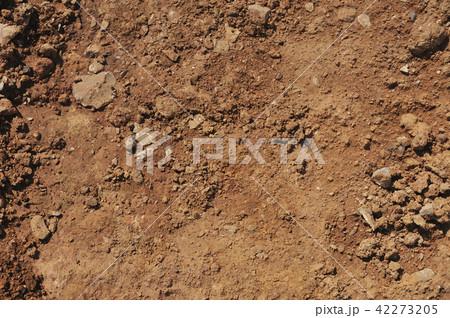 Traces of wheeled vehicles used in agriculture Traces of wheeled vehicles used in agriculture 42273205