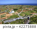 沖縄　首里城 42273888