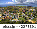 沖縄　首里城 42273891
