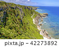 沖縄　首里城 42273892