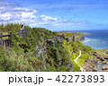 沖縄　首里城 42273893