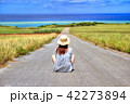 沖縄　首里城 42273894