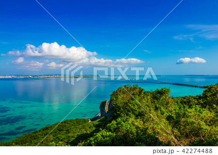 牧山展望台からの眺め 42274488