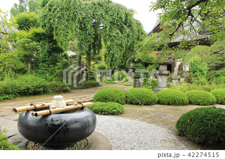 秩父三十三番札所・菊水寺の境内 秩父三十三番札所・菊水寺の境内 42274515