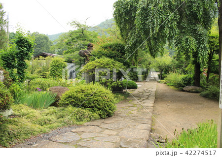秩父三十三番札所・菊水寺の境内 42274517