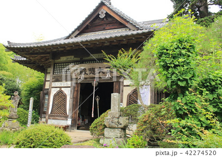 秩父三十三番札所・菊水寺の本堂 42274520