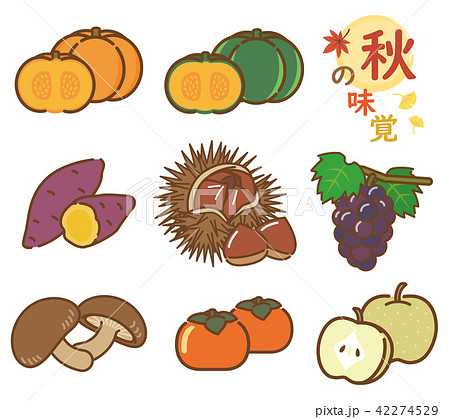 秋の味覚　セット 42274529
